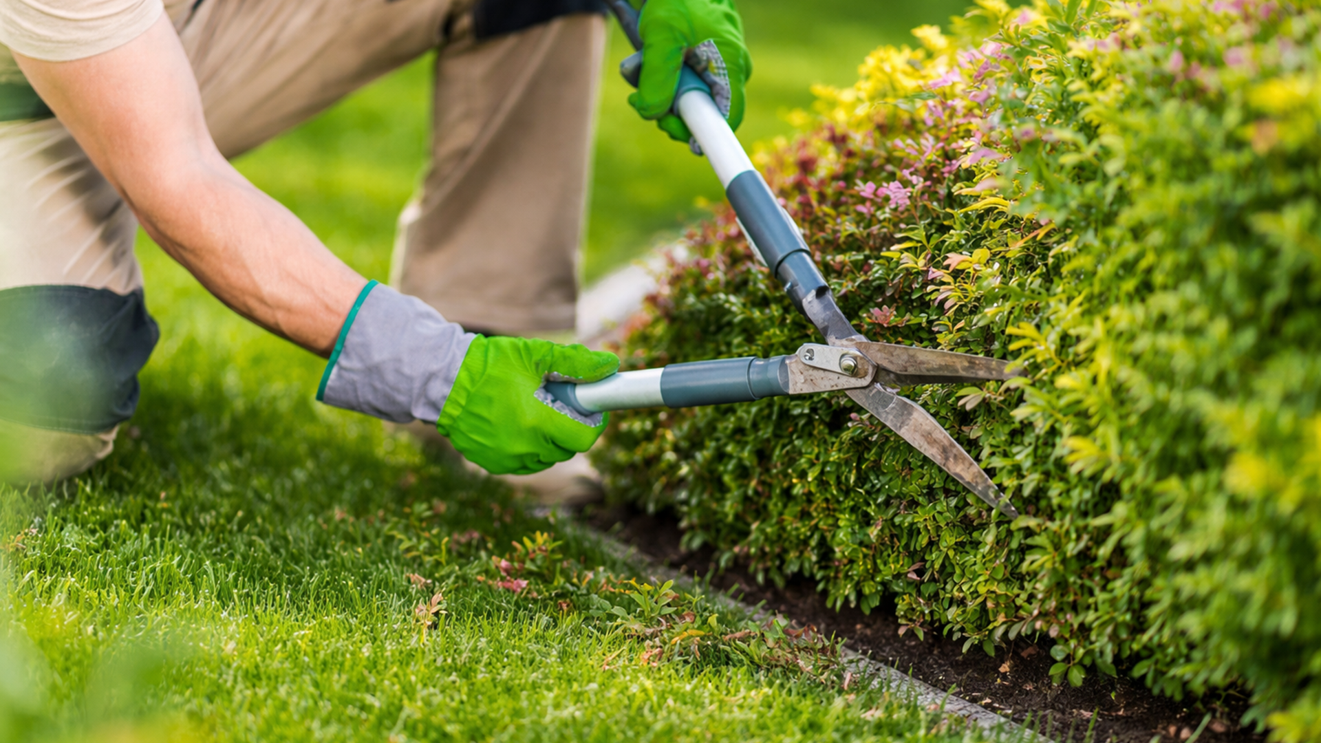 Hausmeister-Gartenservice-Reinhardshagen