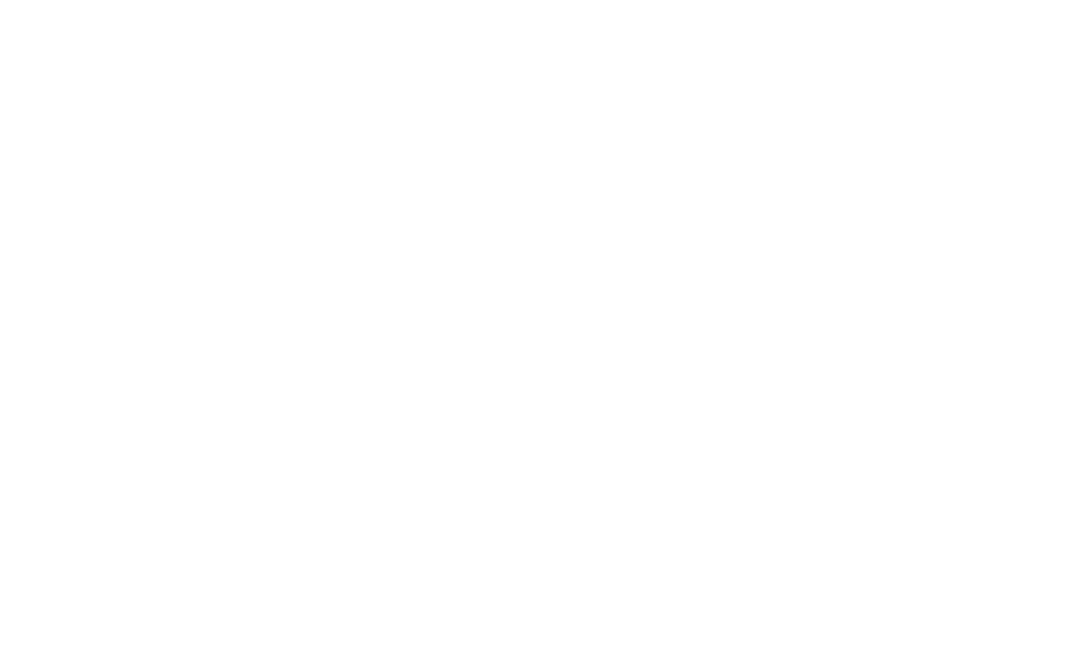 WESER_CARE_Logo-w