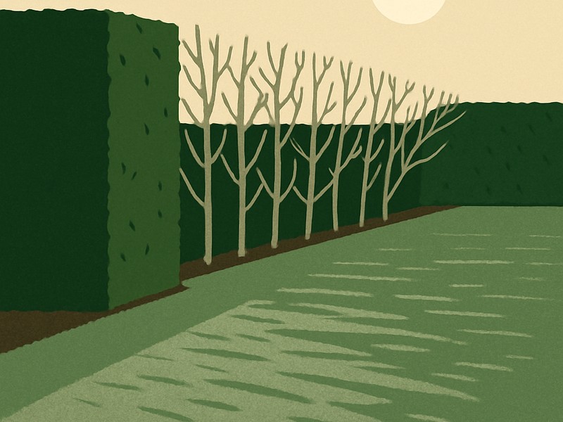 Illustration: frisch zurückgeschnittene Laubhecke und kahle Bäume im Spätherbst.