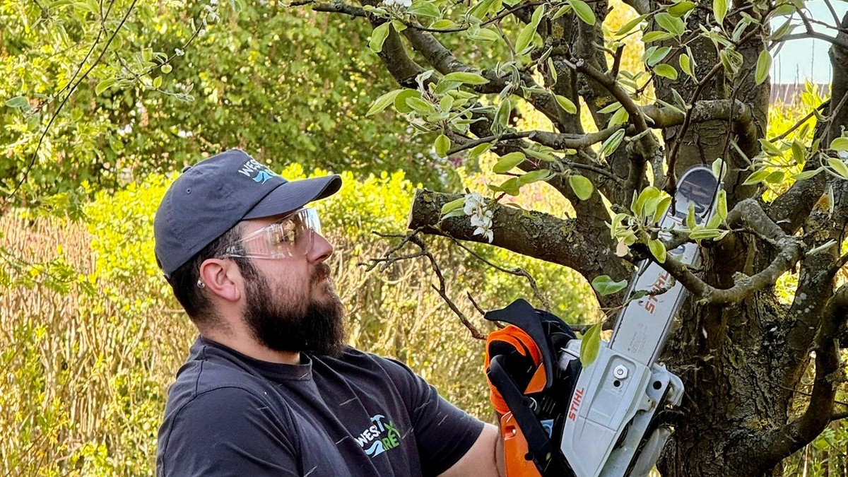 Mitarbeiter von WeserCare mit Cap und Schutzbrille schneidet mit einer Akku-Astsäge einen Ast an einem Obstbaum.